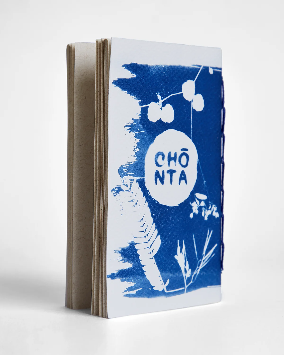 Libreta cianotipia serie Teteras interior 2